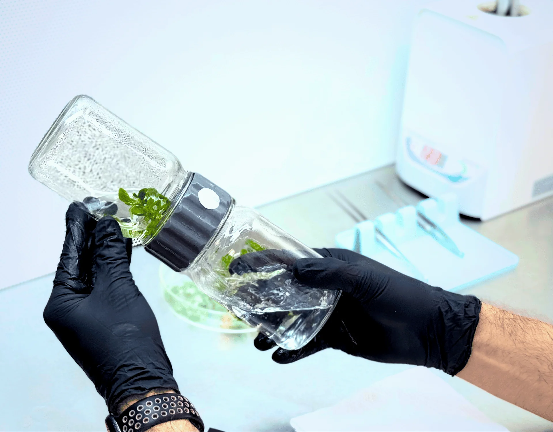 Master the Science of Growth